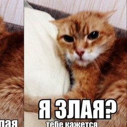 mamazluchka