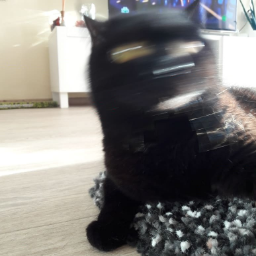 kijkejackson