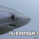 Аватар пользователя Konstantinych