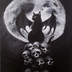 GhostOfBlackCat