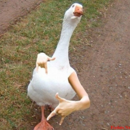 nikit0zzzz