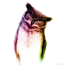 Crazy.Little.Owl