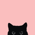 TheSat
