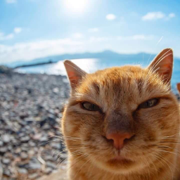 khangodr