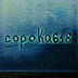 copoka618