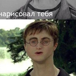 feedlay