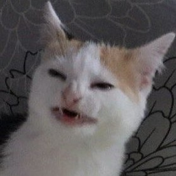 ArtemSad