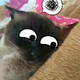 Аватар пользователя Dusnikitka