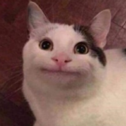 ali009