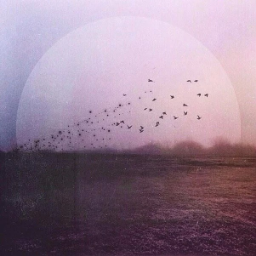l4m3r