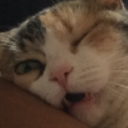 Denzol