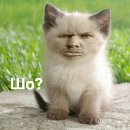 studentlui