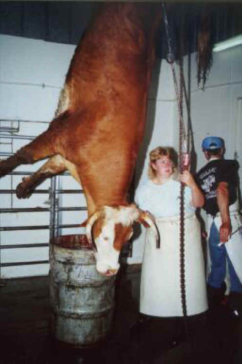 Из чего делаются желейные конфеты