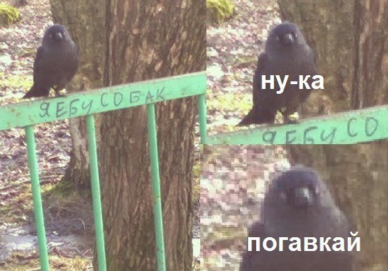 1474110716151883279.jpg