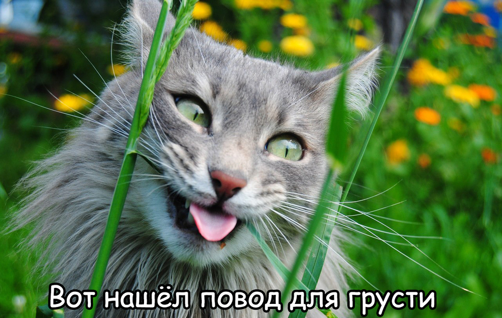 займу до завтра