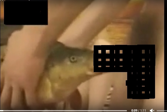 Рыбы Порно Видео / порно с женщинами и животными / Популярные Страница 1