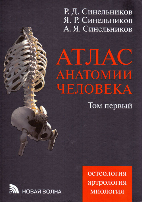 Учебник по анатомии человека привеса содержание