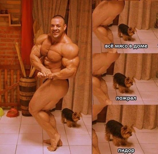 Размещенное изображение