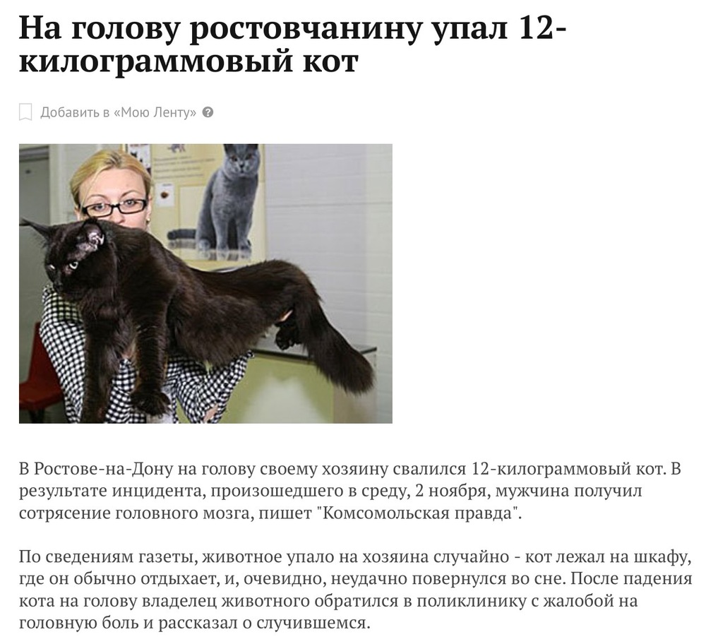 foto Махкама-дю-Паша изображения foto Махкама-дю-Паша изображения