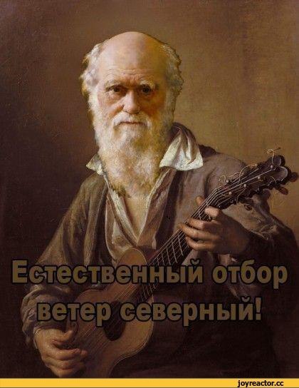 2019 год объявлен годом чего в России и чему посвящен изображения 2019 год объявлен годом чего в России и чему посвящен изоражения