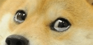 145345919717496032.gif
