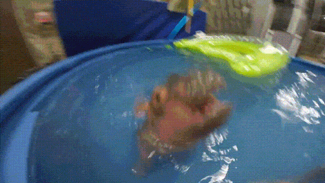 1491600065154016920.gif