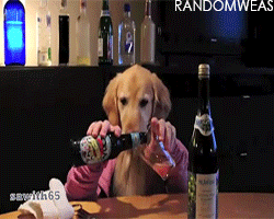 14946221313417849.gif