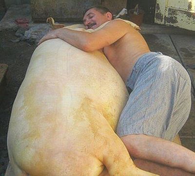 сало в тузлуке рецепт приготовления в домашних условиях в банке. Смотреть фото сало в тузлуке рецепт приготовления в домашних условиях в банке. Смотреть картинку сало в тузлуке рецепт приготовления в домашних условиях в банке. Картинка про сало в тузлуке рецепт приготовления в домашних условиях в банке. Фото сало в тузлуке рецепт приготовления в домашних условиях в банке сало в тузлуке рецепт приготовления в домашних условиях в банке. Смотреть фото сало в тузлуке рецепт приготовления в домашних условиях в банке. Смотреть картинку сало в тузлуке рецепт приготовления в домашних условиях в банке. Картинка про сало в тузлуке рецепт приготовления в домашних условиях в банке. Фото сало в тузлуке рецепт приготовления в домашних условиях в банке