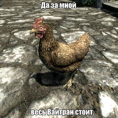 мем курица вас заметили. 145360064918229319. мем курица вас заметили фото. мем курица вас заметили-145360064918229319. картинка мем курица вас заметили. картинка 145360064918229319. Я когда приехал в Штаты, уж 30 лет назад, мне объяснили ребята что nigger это не цвет кожи, а поведение, когда ему все должны, наглое и навязчивое. А ещё есть wiggers, white niggers, с таким же поведением. Нормальные чёрные, которых очень много, и бедные и богатые, разные, сами не любят niggers. Не так давно в Каролине, мне здоровый чёрный мужик, с мозолями на руках, сказал: вы из Калифорнии? У вас там ниггеры распоясались. Я их терпеть не могу. Из за них люди думают что все чёрные лентяи и воры. А это вовсе не так.