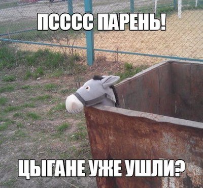 зачем есаул бросил коня. Смотреть фото зачем есаул бросил коня. Смотреть картинку зачем есаул бросил коня. Картинка про зачем есаул бросил коня. Фото зачем есаул бросил коня