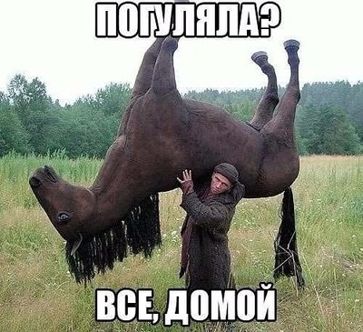 зачем есаул бросил коня. Смотреть фото зачем есаул бросил коня. Смотреть картинку зачем есаул бросил коня. Картинка про зачем есаул бросил коня. Фото зачем есаул бросил коня