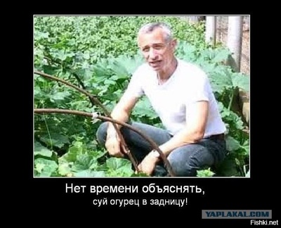 гомункула что это такое фото. Смотреть фото гомункула что это такое фото. Смотреть картинку гомункула что это такое фото. Картинка про гомункула что это такое фото. Фото гомункула что это такое фото