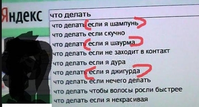 что делать если хочется шаурмы. Смотреть фото что делать если хочется шаурмы. Смотреть картинку что делать если хочется шаурмы. Картинка про что делать если хочется шаурмы. Фото что делать если хочется шаурмы