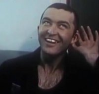 Заворот желудка у маленьких собак