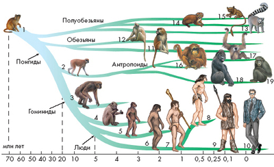 ����������� � �����������