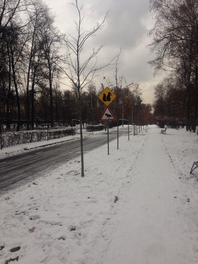 ����������� � �����������