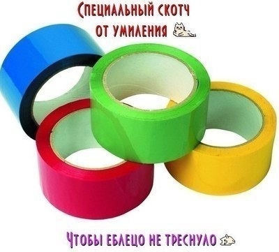 1459063649170767147 без кота и жизнь не та стишок