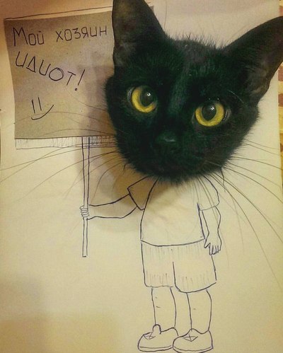 Иллюстрация к комментарию