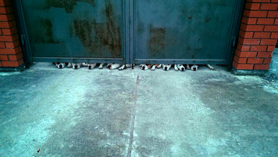 ����������� � �����������