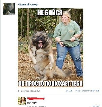 Иллюстрация к комментарию