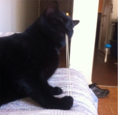 Как связать деньги резинкой. Смотреть фото Как связать деньги резинкой. Смотреть картинку Как связать деньги резинкой. Картинка про Как связать деньги резинкой. Фото Как связать деньги резинкой Как связать деньги резинкой. Смотреть фото Как связать деньги резинкой. Смотреть картинку Как связать деньги резинкой. Картинка про Как связать деньги резинкой. Фото Как связать деньги резинкой