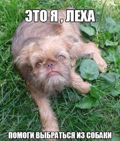 у всех есть такой друг леха. Смотреть фото у всех есть такой друг леха. Смотреть картинку у всех есть такой друг леха. Картинка про у всех есть такой друг леха. Фото у всех есть такой друг леха