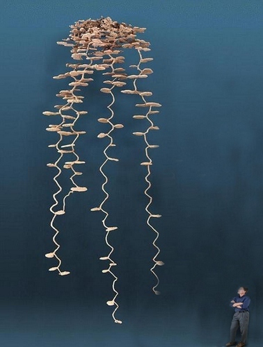 Komentář ilustrace