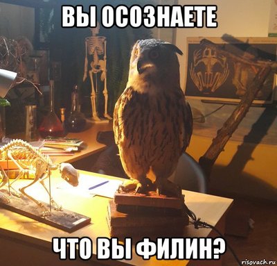 мальчишки и девчонки а также их родители веселые истории увидеть не хотите ли веселые истории. Смотреть фото мальчишки и девчонки а также их родители веселые истории увидеть не хотите ли веселые истории. Смотреть картинку мальчишки и девчонки а также их родители веселые истории увидеть не хотите ли веселые истории. Картинка про мальчишки и девчонки а также их родители веселые истории увидеть не хотите ли веселые истории. Фото мальчишки и девчонки а также их родители веселые истории увидеть не хотите ли веселые истории