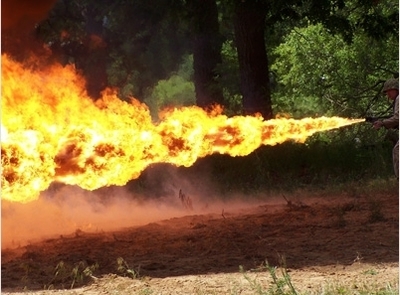 1464595285182819933 жучки на телефоне ползают