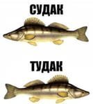 кудой тудой кто так говорит. Смотреть фото кудой тудой кто так говорит. Смотреть картинку кудой тудой кто так говорит. Картинка про кудой тудой кто так говорит. Фото кудой тудой кто так говорит