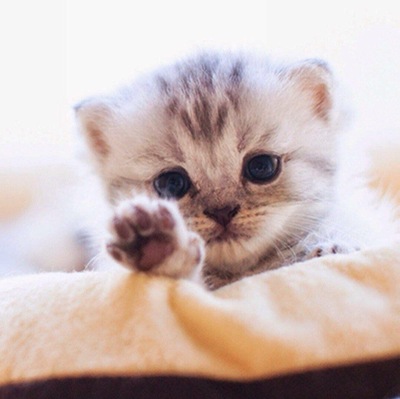 1473443086182672614 Можно я тебя потрогаю там