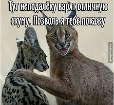 что значит понеслась душа в рай. Смотреть фото что значит понеслась душа в рай. Смотреть картинку что значит понеслась душа в рай. Картинка про что значит понеслась душа в рай. Фото что значит понеслась душа в рай