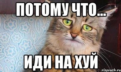 время удивительных историй кот. Смотреть фото время удивительных историй кот. Смотреть картинку время удивительных историй кот. Картинка про время удивительных историй кот. Фото время удивительных историй кот время удивительных историй кот. Смотреть фото время удивительных историй кот. Смотреть картинку время удивительных историй кот. Картинка про время удивительных историй кот. Фото время удивительных историй кот