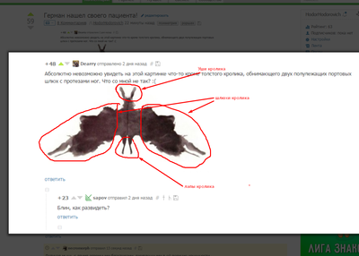 ����������� � �����������